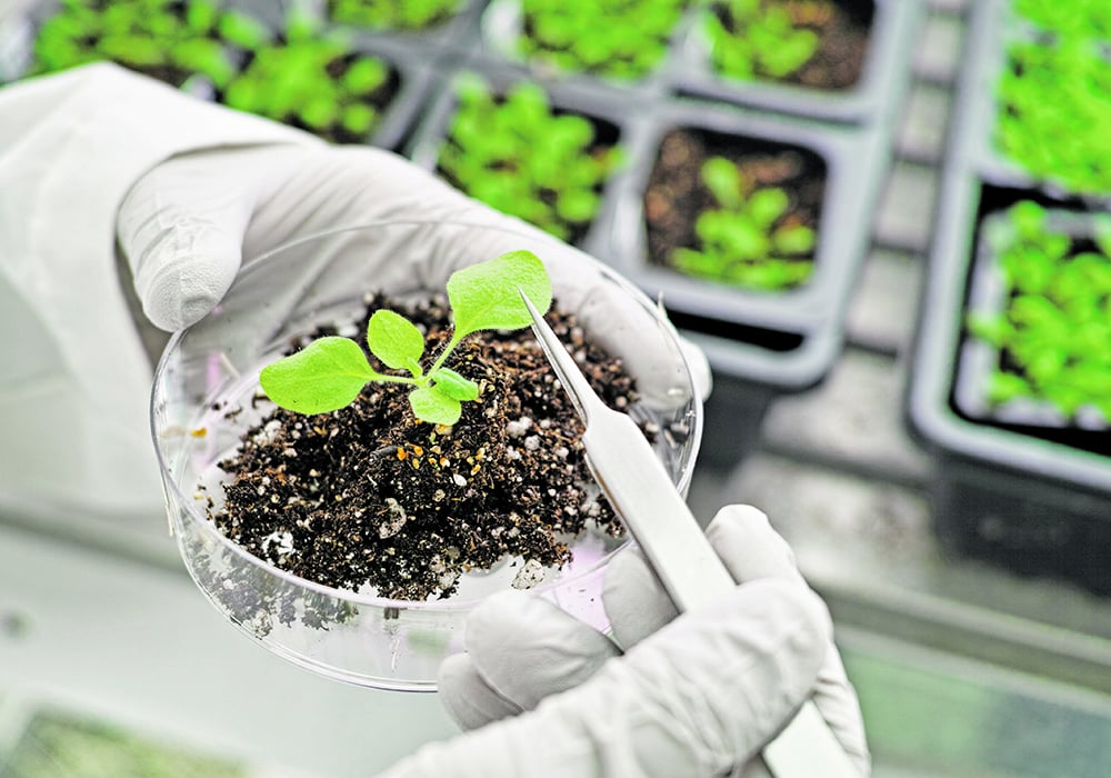 Agriculture Canada will only fund research clusters if some of the research helps the Government of Canada achieve its emission targets for 2030 and 2050.  | Getty Images