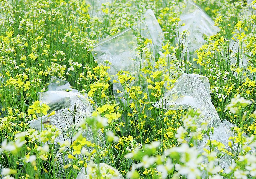 Farm organizations worry that researchers are turning away from farmer-relevant work because available funding doesn’t support mainstream agronomic projects related to efficiency, productivity or resiliency. |  File photo