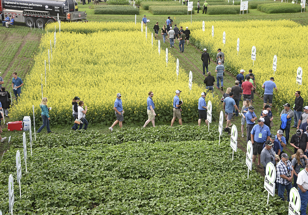 Agronomic crop research is a key way to improve agricultural sustainability and reduce carbon emissions but if such research isn’t related to climate change, the government won’t fund it. | File photo