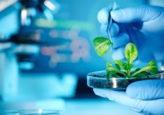 With widespread concern about reduced federal government spending on agricultural research and the remainder focused on climate change mitigation endeavours, research interests should be clear so available funding is spent where needed, said Cam Dahl, chair of the Agri-Food Innovation Council. | Getty Images