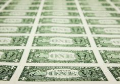A rising U.S. dollar is a two-edged sword for Canadian crop exporters. It could give Canadian exports a competitive advantage, but it also drives up the cost of importing equipment and inputs priced in U.S. currency.  | Reuters photo