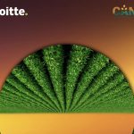 In "Growing a Net Zero Food System: An open-source framework for climate-smart agri-food products in Canada," the authors examined existing practices, trends in the food sector, and what will be needed to successfully meet Canada's 'net zero' carbon goals. | Screencap via deloitte.com