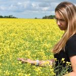 Andrea De Roo wades out into a canola trial field near Indian Head, Saskatchewan. Canola is one of several Canadian oilseed, cereal and pulse crops that can benefit from biologicals to preserve yield performance in the face of abiotic stress such as heat, cold and drought. | Glacier FarmMedia photo