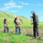An agriculture official says temporary foreign workers have been unfairly blamed for Canada’s housing crisis. | File photo