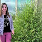 Agriculture Canada’s Breanne Tidemann says kochia appears to be spreading to areas of Alberta where it wasn’t seen previously. | Agriculture Canada photo