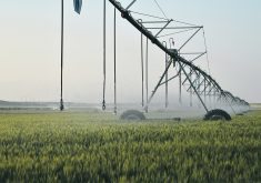 The author writes that Alberta urgently needs an independent, objective analysis by qualified professionals on the broader questions of how to adapt to a climate change future rather than on how to expand  irrigation.  |  File photo