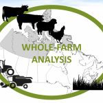 The Holos model is a software application that uses data entered by producers to build a model farm. Then, it estimates greenhouse gas emissions, as well as soil carbon changes that occur on the operation. The main goal of the model is to identify how emissions can be decreased. | Screencap via YouTube/UM - Faculty of Agricultural and Food Sciences