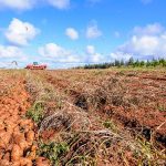 Soil health and minimized soil disturbance are major pillars in the push toward sustainable agriculture. That’s an issue for an underground crop. | Getty Images