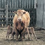 The family are picture perfect. | Mark van Haastert photo