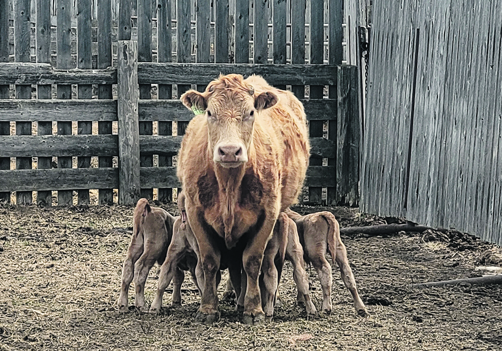 The family are picture perfect. | Mark van Haastert photo