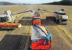 "The bottom line is, it comes back to Russia. Are they going to be able to have a big enough crop again this year to dominate world exports and hold prices down, or not?" DTN lead analyst Todd Hultman said during a recent webinar. "That's going to be the key." |  Reuters photo
