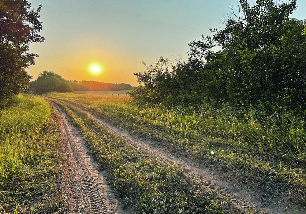 Farm Credit Canada says the argument for renting farmland is strong at the moment, but it all depends on the circumstances of a particular farm.  |  File photo