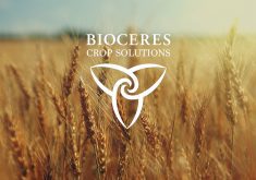 After years of tests followed by planting under pilot agreements between Bioceres and a small number of farmers, the company has started distributing seeds to agricultural input retail companies in the South American country, said chief executive officer Federico Trucco. | Screencap via YouTube/Bioceres Crop Solutions