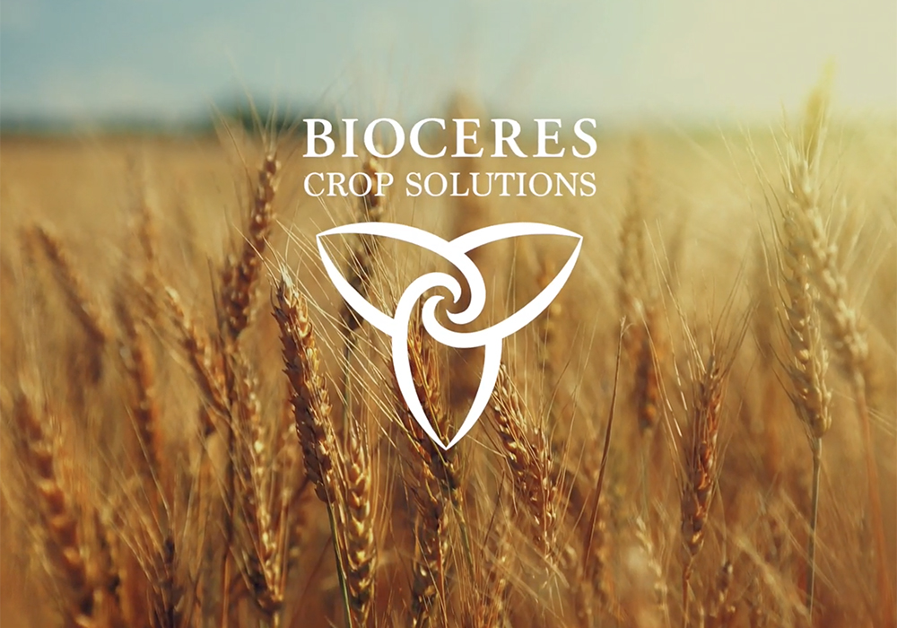 After years of tests followed by planting under pilot agreements between Bioceres and a small number of farmers, the company has started distributing seeds to agricultural input retail companies in the South American country, said chief executive officer Federico Trucco. | Screencap via YouTube/Bioceres Crop Solutions