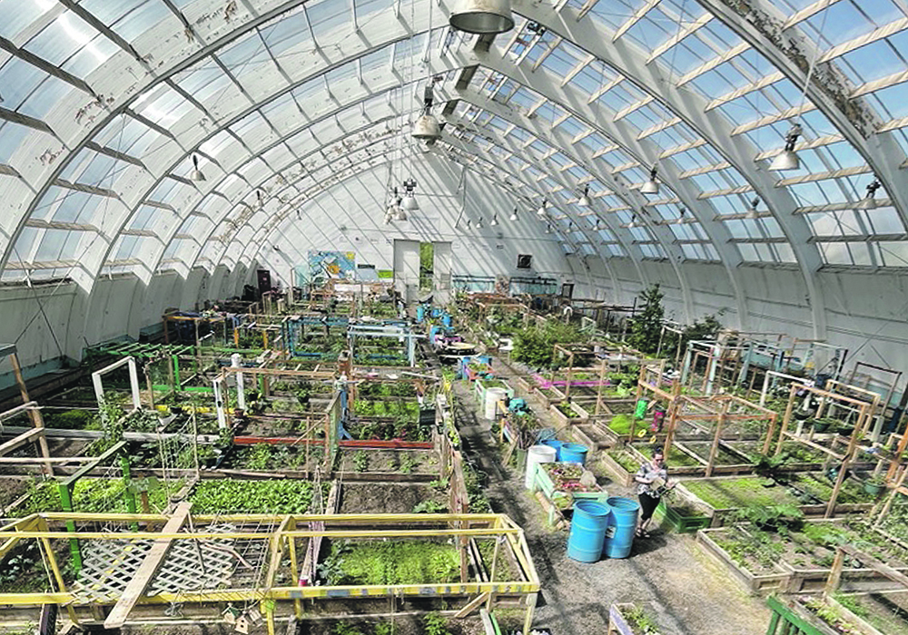 This photo of the Inuvik Community Greenhouse plots from the upper-level nursery area was taken in mid-June, so many of the plants had been growing for only a month or less. The metal roofing from the former hockey arena was removed and replaced with translucent polycarbonate glazing. An automatically opening ridge vent runs the length of the roof for ventilation.  |  Betty Ann Deobald photo