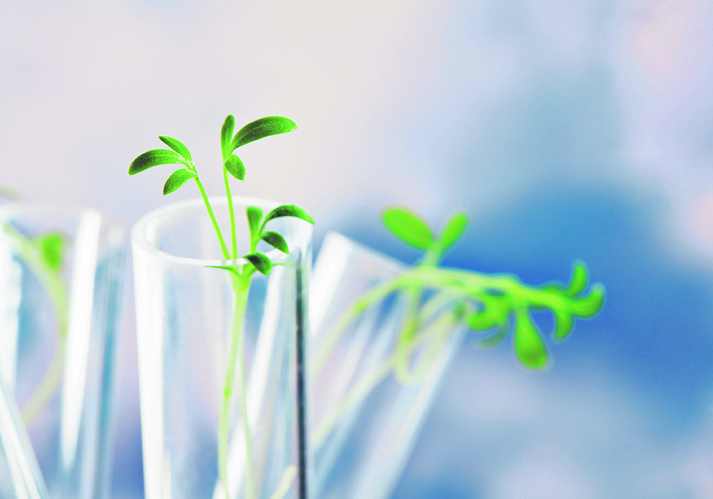 Consumer acceptance and governance are seen as the primary hurdles facing gene editing technology.  |  File photo