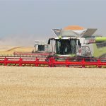 Glyphosate is categorized as at least an amber for all crops except canola. Amber in the Keep It Clean classification system means it requires additional consideration, like contacting a grain buyer. | File photo