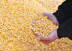The author writes that in an era marked by political tensions and misinformation, Canada must uphold science-based approaches in its trade policy.  |  File photo