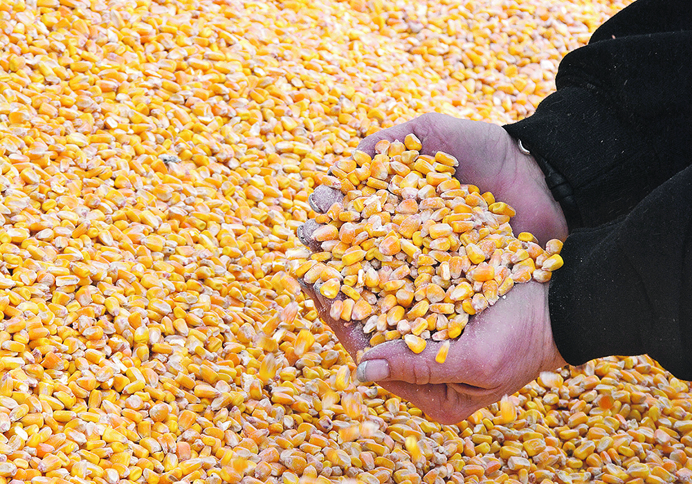 The author writes that in an era marked by political tensions and misinformation, Canada must uphold science-based approaches in its trade policy.  |  File photo