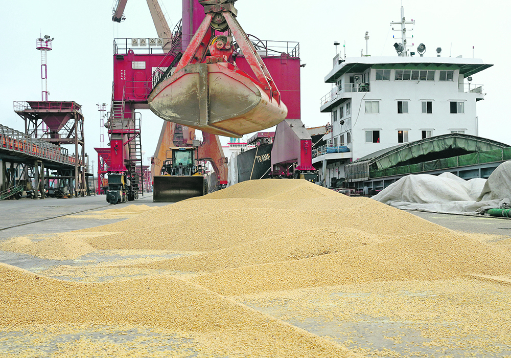 The U.S. Department of Agriculture believes China will import a record 109 million tonnes of soybeans in 2024-25, but in the future that could change if a long-range forecast by Chinese Academy of Agricultural Sciences (CAAS) comes true. | Reuters photo