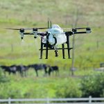 The Saskatchewan producer, who asked to remain anonymous, uses drones primarily to apply fungicide in pre-harvest grain. | File photo