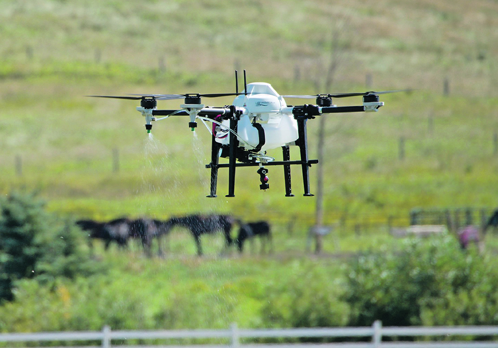 The Saskatchewan producer, who asked to remain anonymous, uses drones primarily to apply fungicide in pre-harvest grain. | File photo
