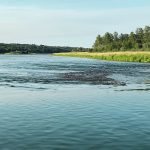 Of the three main factors responsible for nutrient runoff into prairie watersheds, manure was in third place in Manitoba and second place in Alberta and Saskatchewan. | File photo
