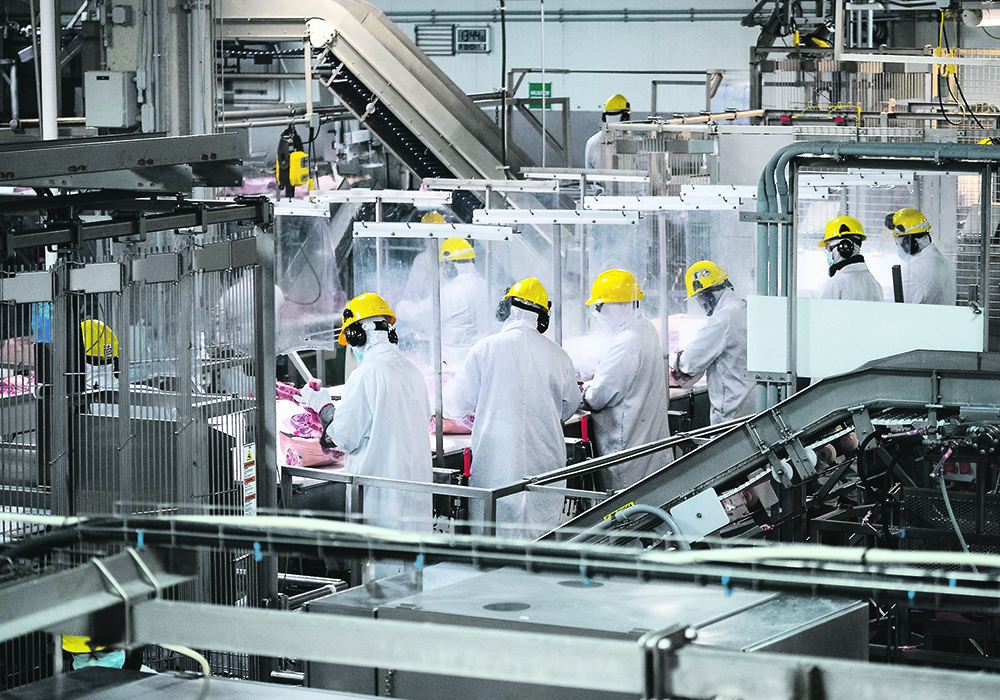 In a joint statement released May 29, the Canadian Meat Council, the Canadian Cattle Association, the National Cattle Feeders' Association and the Canadian Pork Council asked the feds to restore the previous structure of the Temporary Foreign Worker Program. | Maple Leaf Foods photo