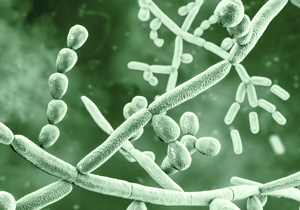 Scientists have gained a better understanding in recent years of the micro-organisms that live in soil, but turning that knowledge into solutions has not been easy.   |  Getty Images