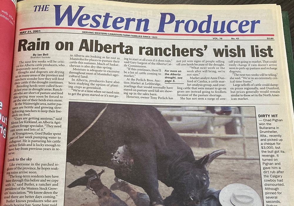 The writer of a front page story wrote that “the next few weeks will be critical for Alberta cattle producers, who desperately need rain,” while Alberta Agriculture forage specialist Mona Lee Kirkland said: “Guys are getting anxious. They need rain soon, and lots of it.” | Bruce Dyck photo