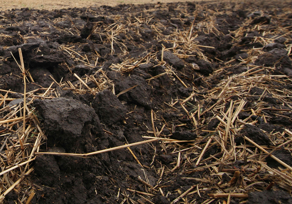 Organic farmers across the country are being asked to participate in a soil benchmarking study that aims to measure the benefits that arise from different soil management practices. | File photo