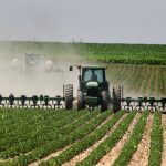Scott Irwin, professor of agriculture at the University of Illinois, is bearish on crush and export demand for soybeans. “Unless the U.S. has a substantial production problem this summer, it’s hard for me to see how 2024-25 ending stocks don’t end up above 500 million bushels,” he said. | File photo
