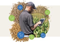 The feed industry operates a quality assurance program called FeedAssure, which some farms have joined. With new national feed regulations expected to come into force in 2024, farmers need to check for updated requirements for the program and also to ensure they are complying with the law. | Screencap via anacan.org