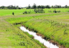 Saskatchewan’s provincial auditor said some drainage projects in the province do not include mitigation measures that address flooding, water quality and wildlife habitat concerns.  |  File photo