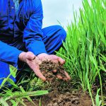 The committee on agriculture and forestry released a report on the state of the nation’s soil that includes 25 recommendations designed to prevent soil degradation and loss of agricultural land. | Getty Images