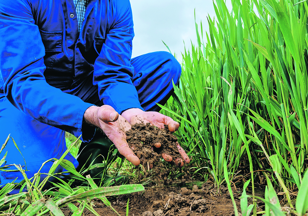 The committee on agriculture and forestry released a report on the state of the nation’s soil that includes 25 recommendations designed to prevent soil degradation and loss of agricultural land.  |  Getty Images