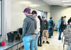 Attendees work to identify various weeds at Weed Seedling Identification Day in Carman May 22.  |  Don Norman photo