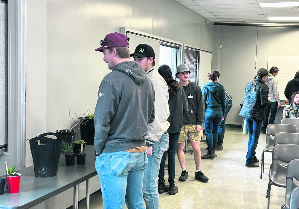 Attendees work to identify various weeds at Weed Seedling Identification Day in Carman May 22.  |  Don Norman photo