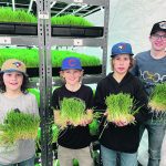 Reese Bert, left, Noah Van Langen, Nate Ference and Drew Leeds hold some of the material grown with the Altario school’s hydroponics system. | Alexis Kienlen photo