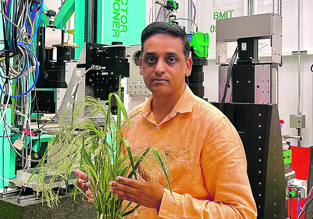 Raju Soolanayakanahally of Ag Canada holds millet he’s researching. | Janelle Rudolph photo