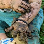 In the 2010s, multiple books were published on this topic, including Let Them Eat Dirt, written by two microbiologists from the University of British Columbia. | Getty Images