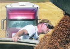 The authors say empowering farmers is the path forward when it comes to the Canada Grain Act and Canadian Grain Commission modernization.  |  File photo