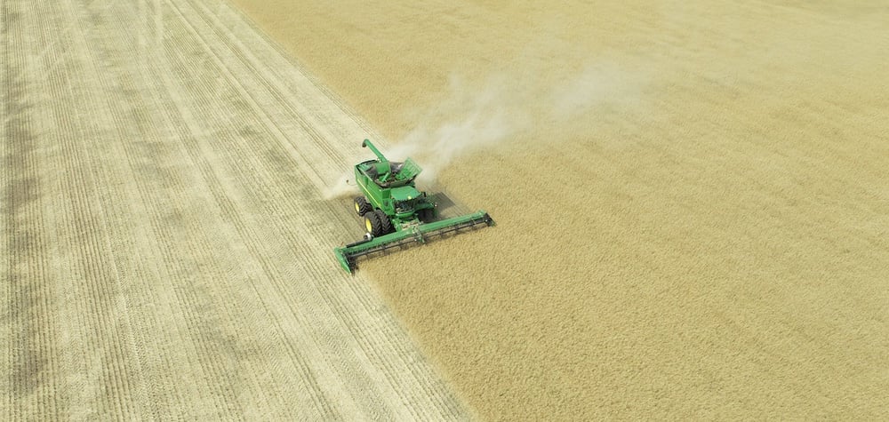 New canola comes fully loaded with superior yield potential and weed control trait package