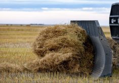A Saskatchewan company is turning the field nuisance of flax straw into clean energy via its fuel pellet manufacturing facility. | Greg Huszar photo