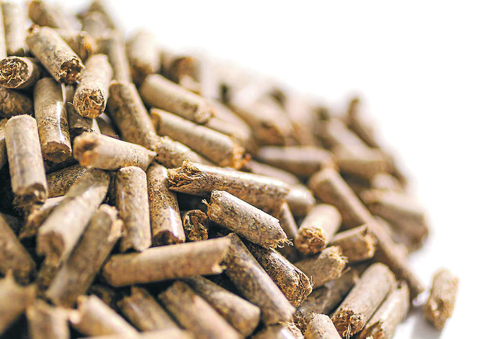 A Regina company, Prairie Clean Energy, has big plans to convert flax straw into pellets. The pellets will be processed at a plant in Regina and sold to industrial, commercial and residential customers for heat and power generation.  |  Photo courtesy Huszar Visuals