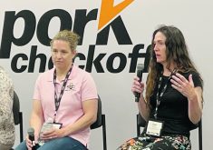 Dr. Laura Dalquist, left, and Dr. Deb Murray say PRRS is worse today than earlier generations.  |  Ed White photo