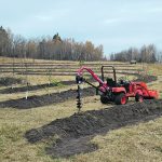 Slade Doyle dug swales into the side of his landscape to plant the trees for his food forest. By doing this, the swales catch more water for the trees than if there were no swales. | Slade Doyle photo