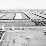 With the value of hindsight, we now know that shelterbelts were a mere Band-Aid in the widespread wind erosion crisis. | File photo
