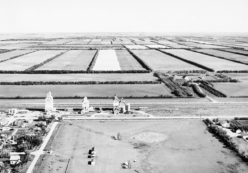With the value of hindsight, we now know that shelterbelts were a mere Band-Aid in the widespread wind erosion crisis. | File photo