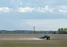 The author writes that the loss of farmland can be blamed on increased immigration as more houses are built to accommodate the newcomers.  |  File photo